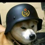 Profile picture of Seven Nguyen